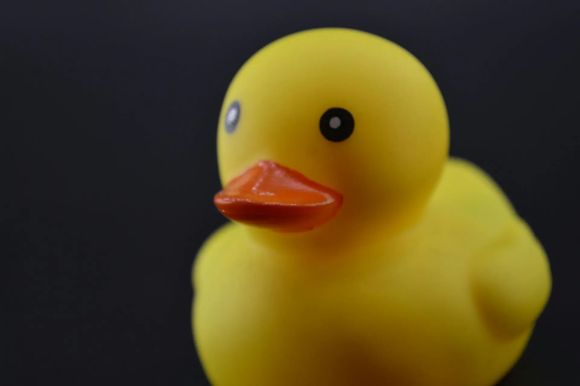 Duck Com DuckDuckGo : Le moteur de recherche qui protège votre vie privée et sa ...